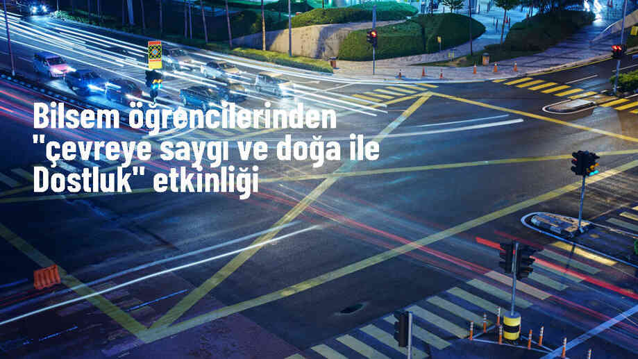 Çubuk BİLSEM Öğrencileri Çevre ve Doğa Etkinliği Düzenledi