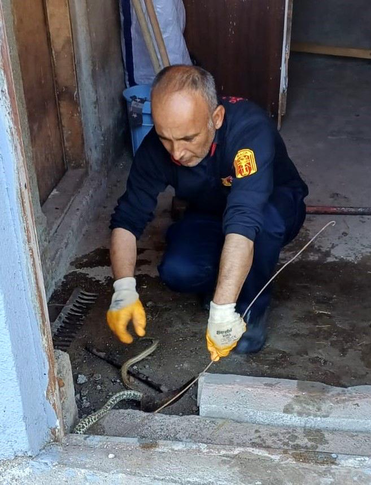 Çorum\'un Alaca ilçesinde eve giren yılan paniğe neden oldu