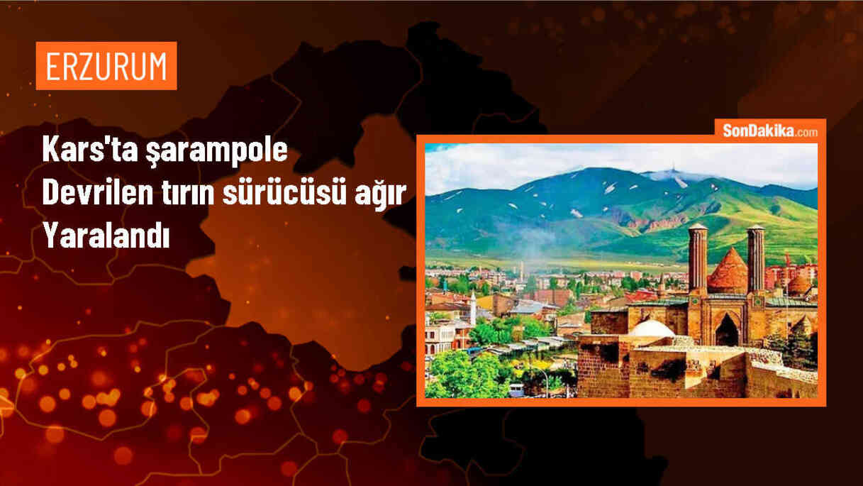 Kars\'ta tırın şarampole devrilmesi sonucu sürücü yaralandı