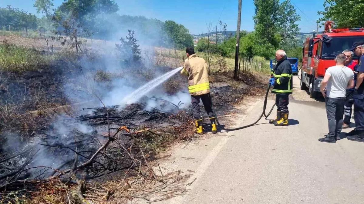 Sinop\'ta Kuru Dal Yangınında Elektrik Direği Zarar Gördü