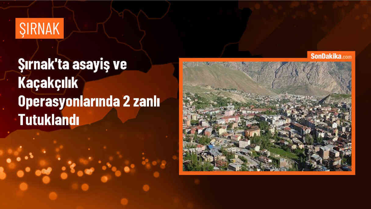 Şırnak\'ta düzenlenen operasyonlarda 53 şüpheli yakalandı