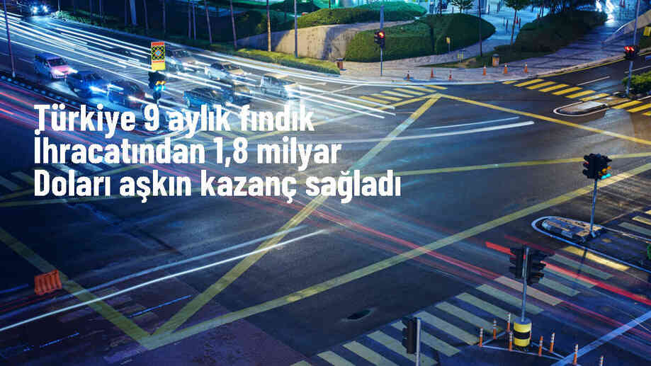 Türkiye, 2023-2024 fındık ihracat sezonunda 1.8 milyar dolar gelir elde etti