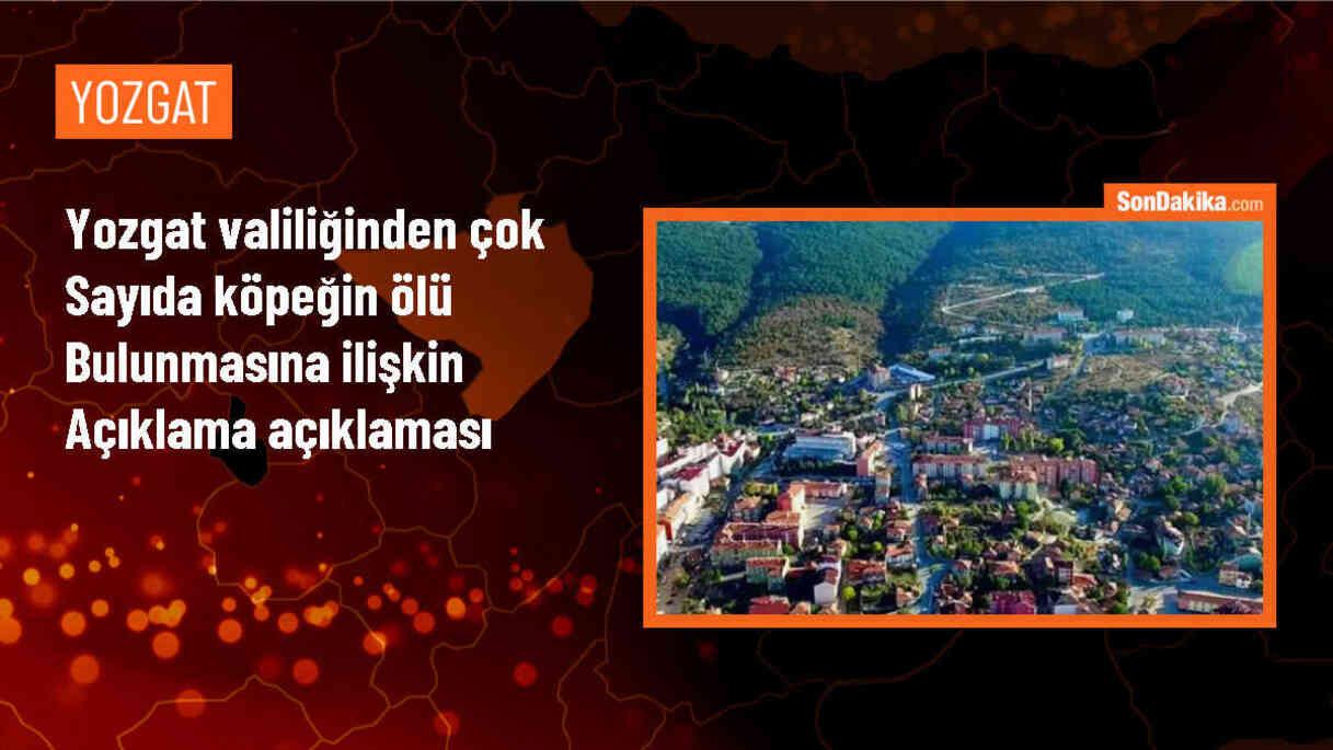 Yozgat Valiliği, köpek ölümleriyle ilgili suç duyurusunda bulundu