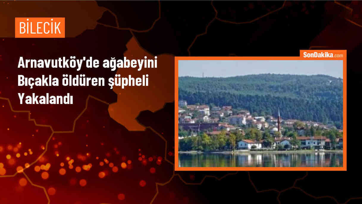 Arnavutköy\'de tartıştığı ağabeyini öldüren şüpheli Bilecik\'te gözaltına alındı