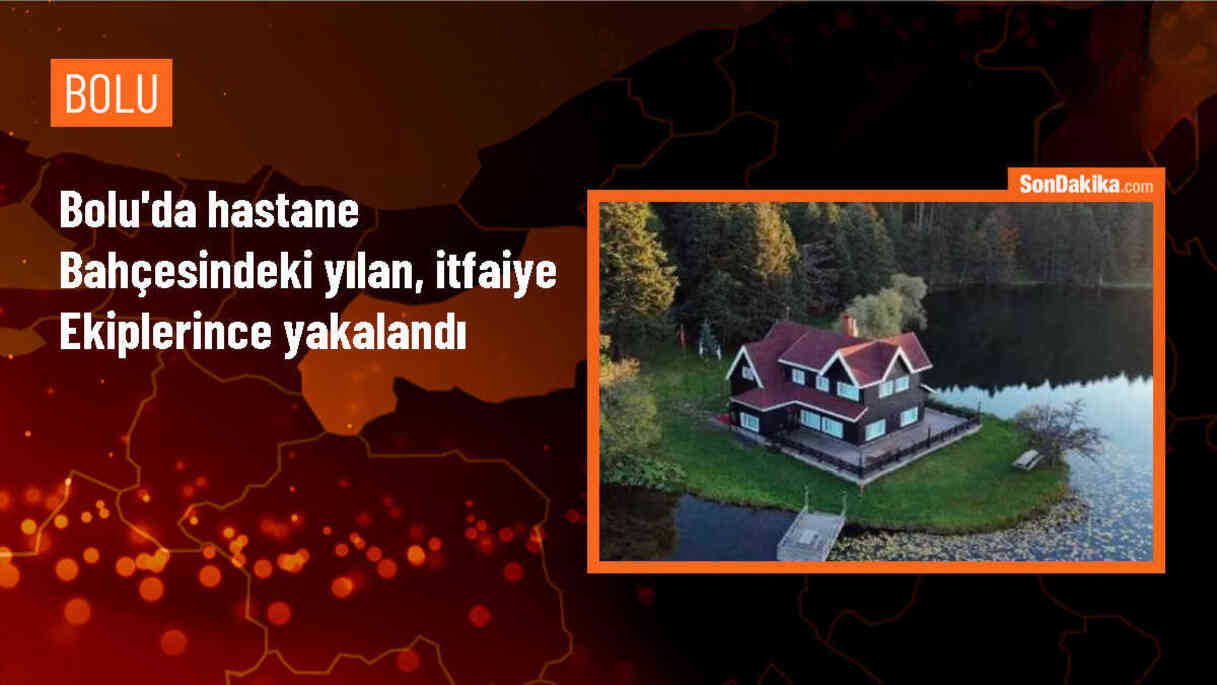 Bolu\'da hastane bahçesinde yılan yakalandı