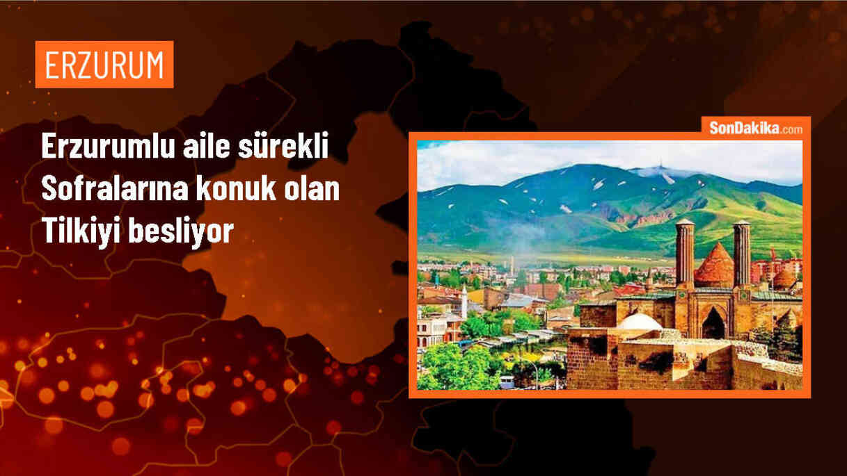 Erzurum\'da Tilkiye Misafirperverlik