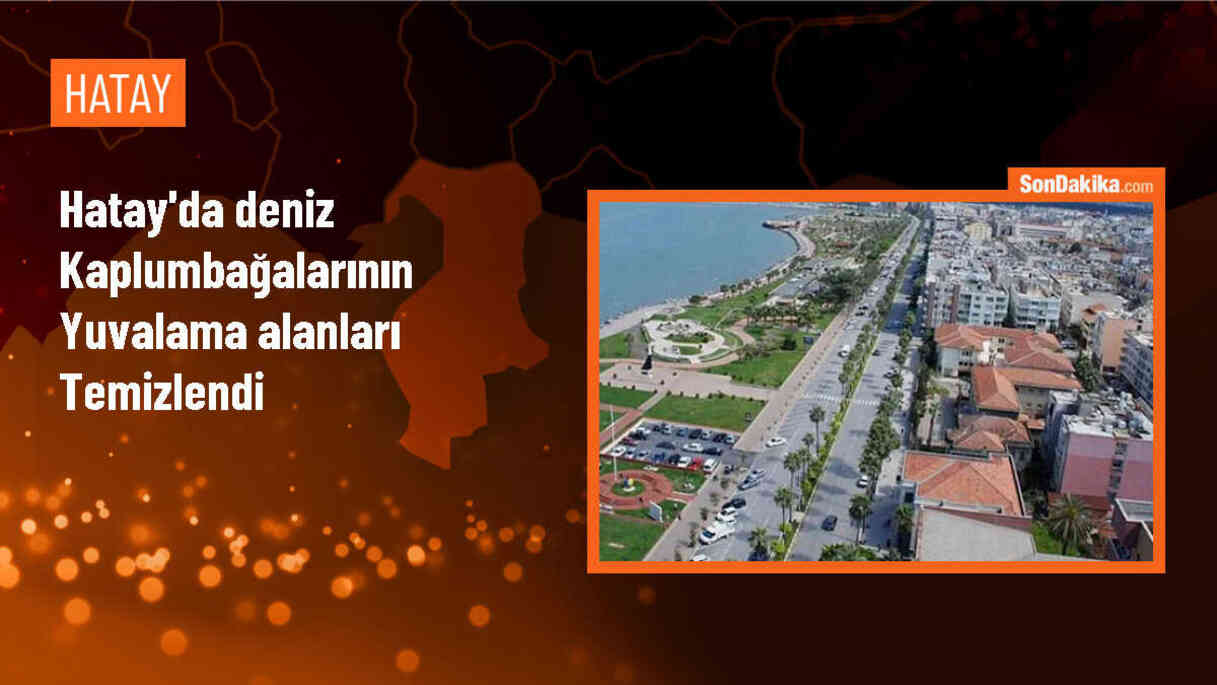 Samandağ\'da Deniz Kaplumbağalarının Yuvalama Alanları Temizlendi