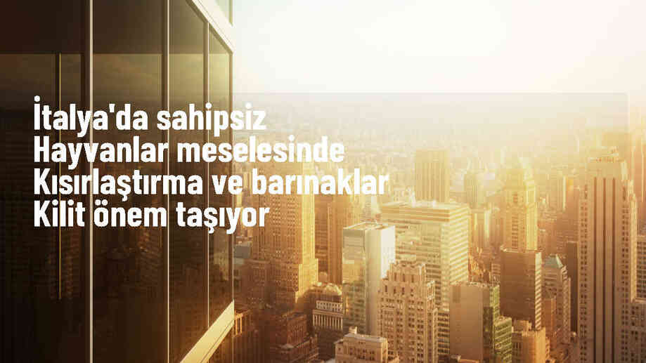 İtalya\'da sahipsiz hayvanlar için getirilen yasalar