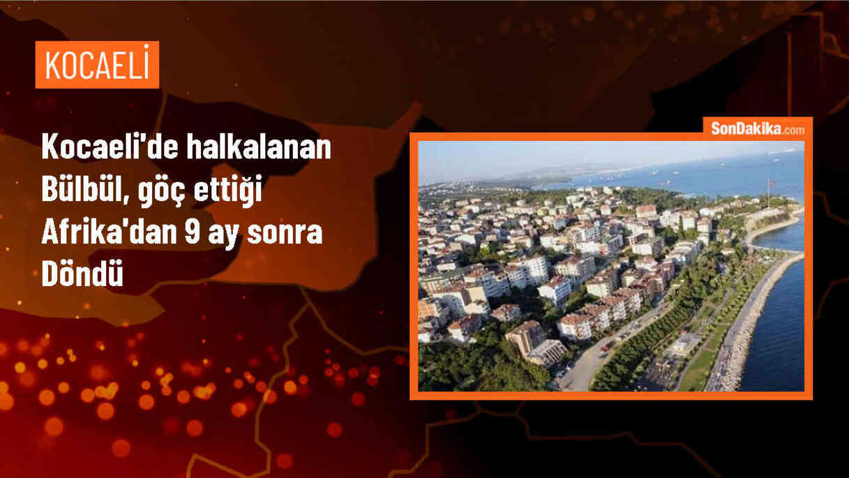 Kocaeli\'deki Ormanya Parkı\'nda Halkalanan Bülbül, 9 Ay Sonra Döndü
