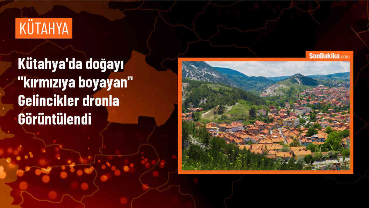 Kütahya\'da Gelinciklerin Kırmızı Görüntüsü Göz Kamaştırıyor