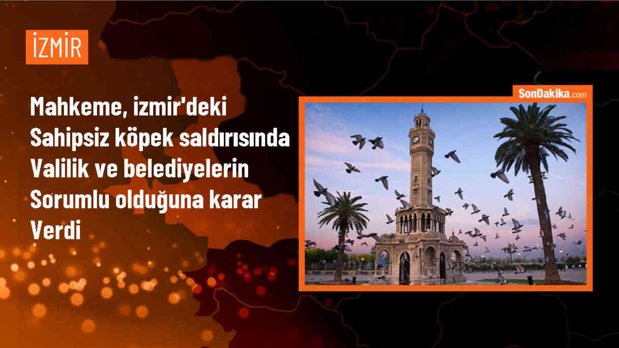 İzmir Bölge İdare Mahkemesi, sahipsiz köpeklerin saldırısına uğrayan kişiye tazminat ödenmesi kararını onadı