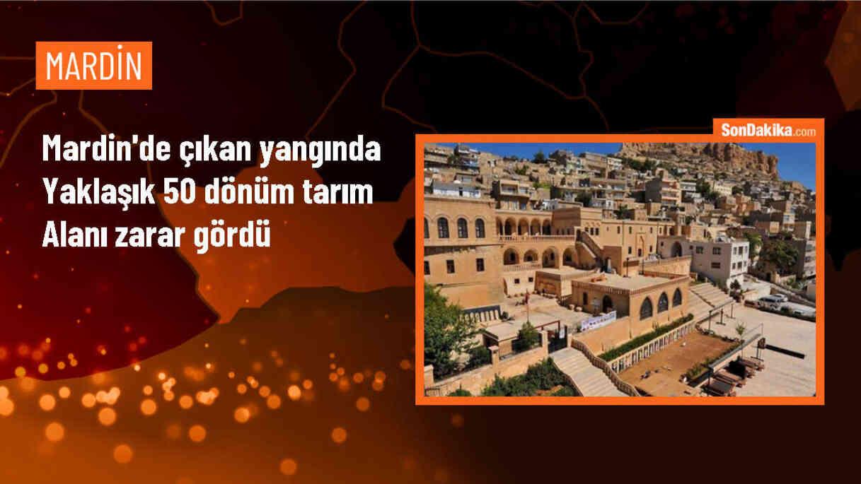 Mardin\'de Tarım Alanlarında Çıkan Yangınlar Söndürüldü