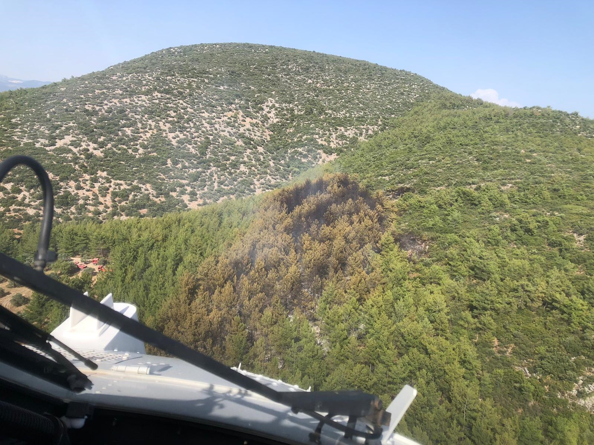 Muğla\'da orman yangını kontrol altına alındı
