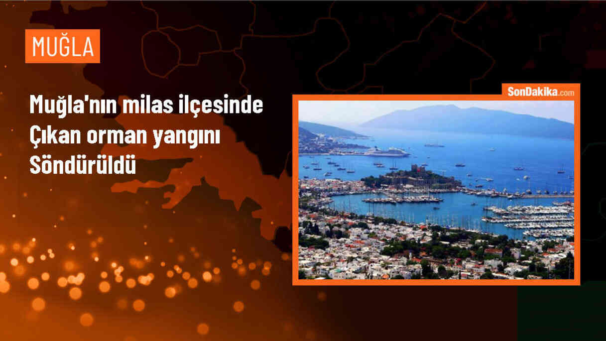 Muğla\'nın Milas ilçesinde çıkan yangında 2 hektar ormanlık alan zarar gördü