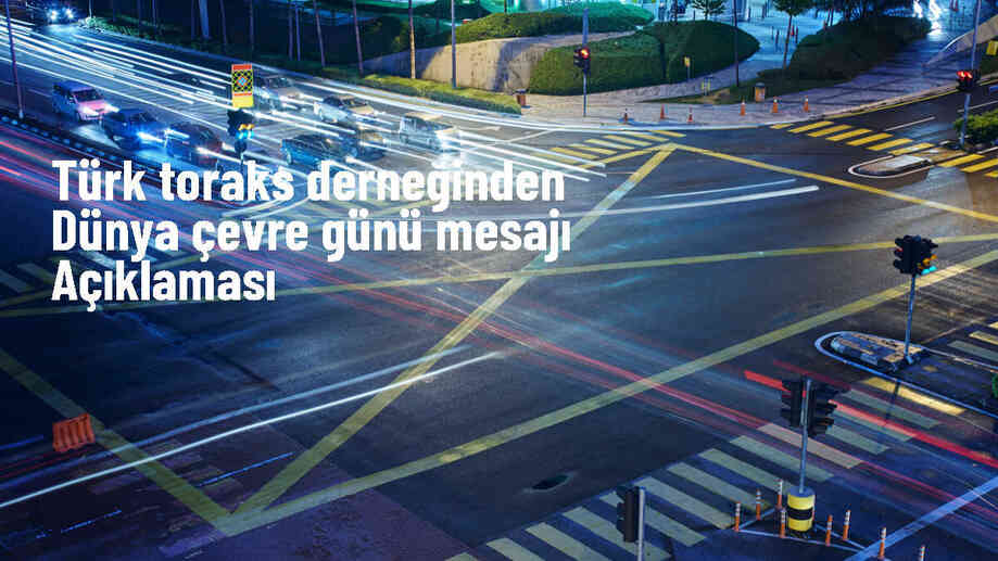 Toprak Bozulumu Küresel Gıda Verimliliğini Azaltabilir