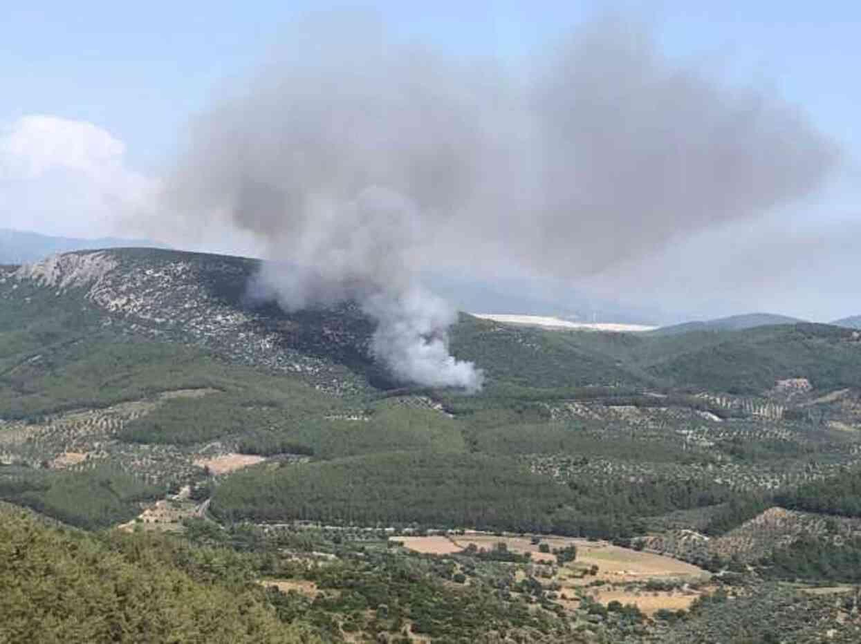 Yaz ayları gelir gelmez ormanlardan alevler yükselmeye başladı! 2 ilde çıkan yangınlara havadan ve karadan müdahale