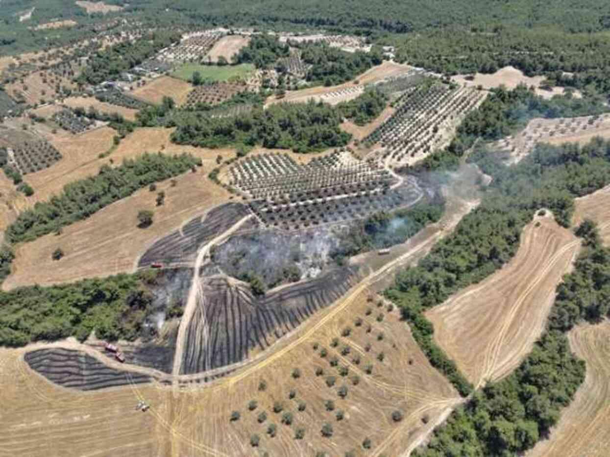 Yaz ayları gelir gelmez ormanlardan alevler yükselmeye başladı! 2 ilde çıkan yangınlara havadan ve karadan müdahale