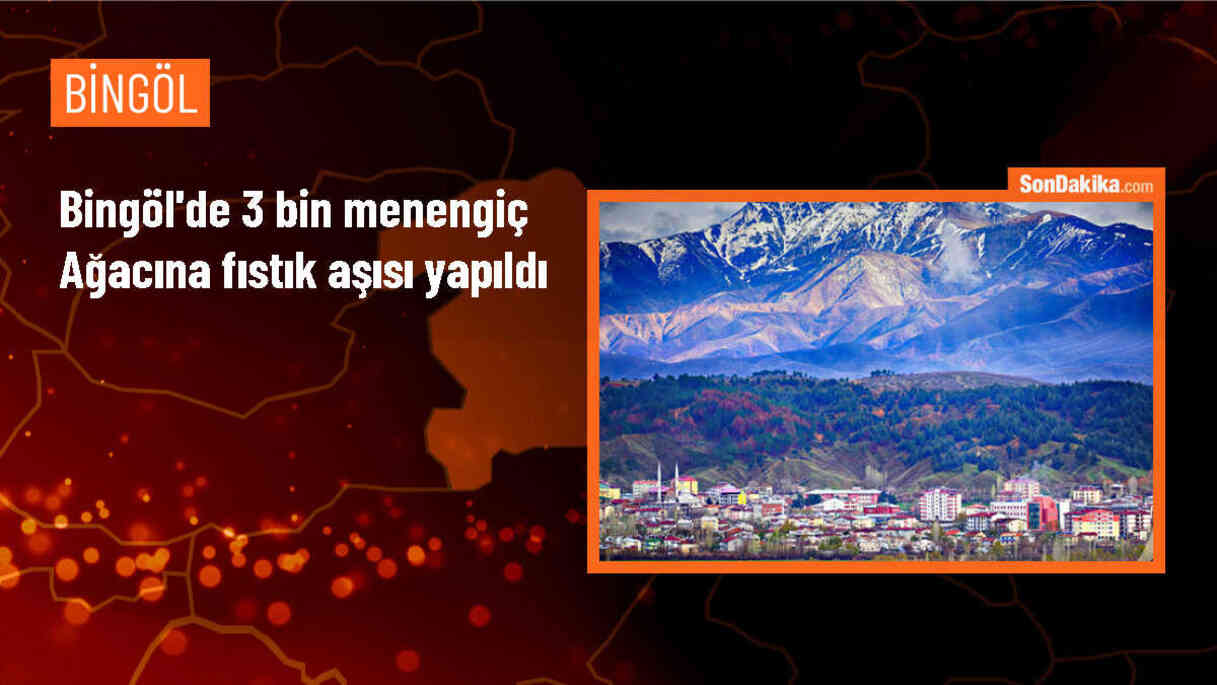 Genç İlçesinde Menengiç Ağaçlarına Fıstık Aşısı Yapıldı