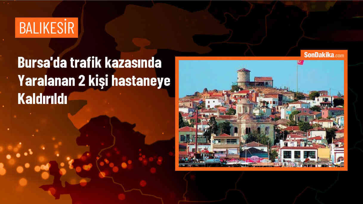 Karacabey\'de kaza: 2 kişi yaralandı