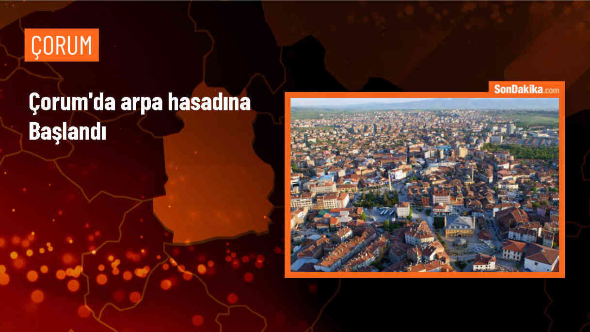 Çorum\'un Bayat ilçesinde çiftçiler arpa hasadına başladı