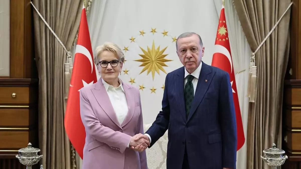 Cumhurbaşkanı Erdoğan, Meral Akşener\'i kabul etti