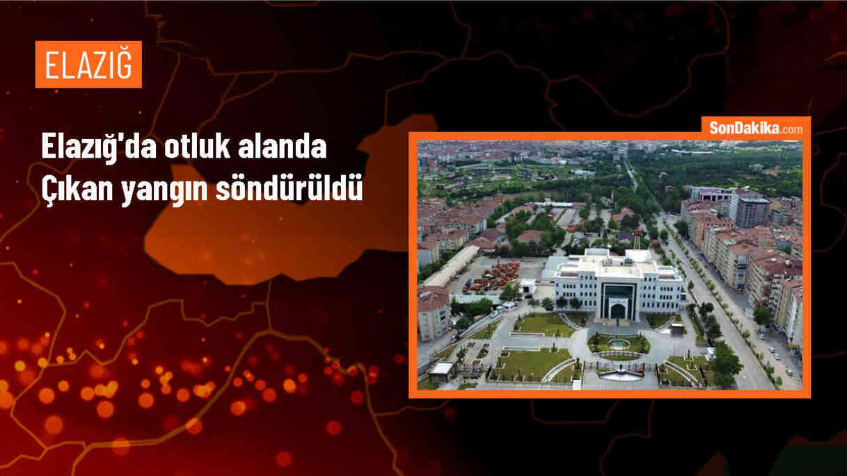 Elazığ\'ın Baskil ilçesinde çıkan yangın kontrol altına alındı