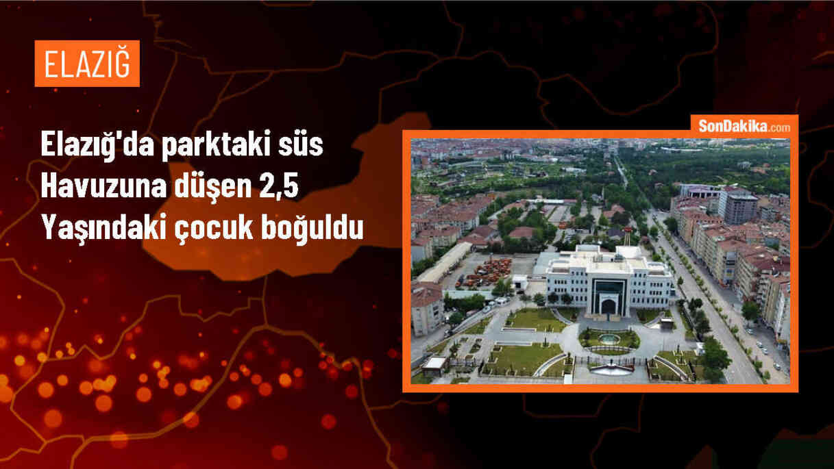 Elazığ\'da Süs Havuzuna Düşen Çocuk Hayatını Kaybetti