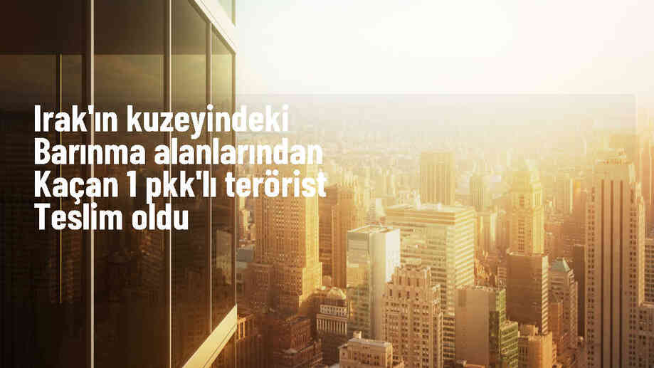 Irak\'ın kuzeyinden kaçan 1 PKK\'lı terörist teslim oldu