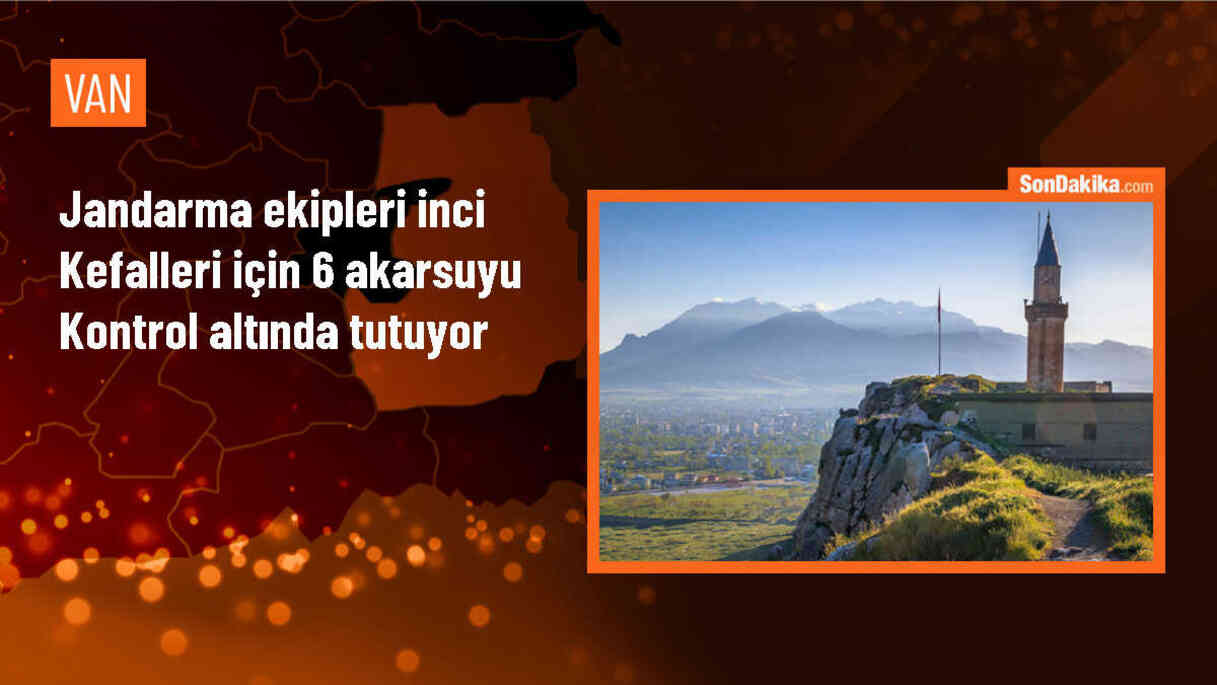 Van Gölü\'nde İnci Kefali Göçü Güvenli Şekilde Gerçekleşiyor