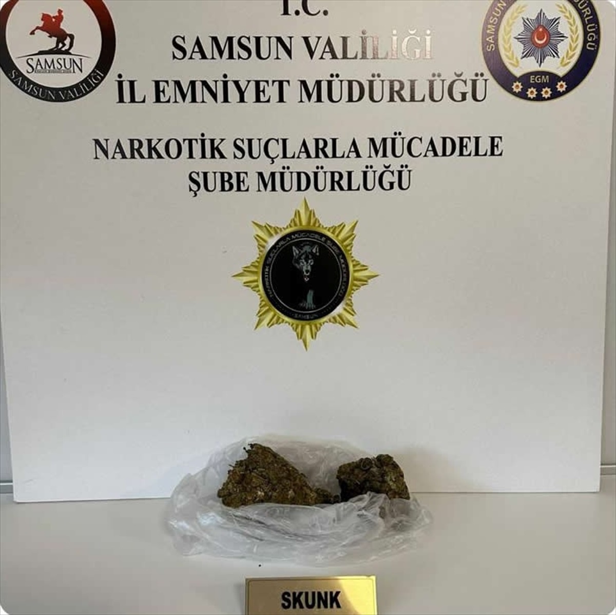 Samsun\'da NARVAS operasyonunda 37 şüpheli gözaltına alındı