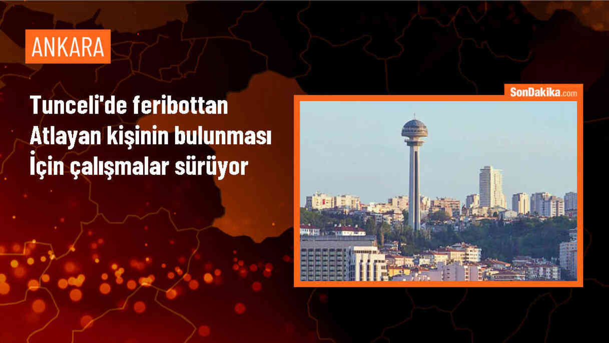 Tunceli\'de feribottan atlayan kişi için arama çalışmaları devam ediyor