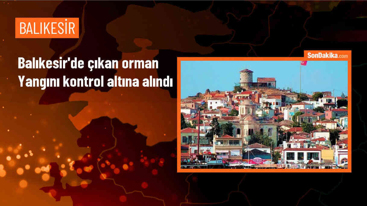 Balıkesir Havran\'da Orman Yangını Kontrol Altına Alındı