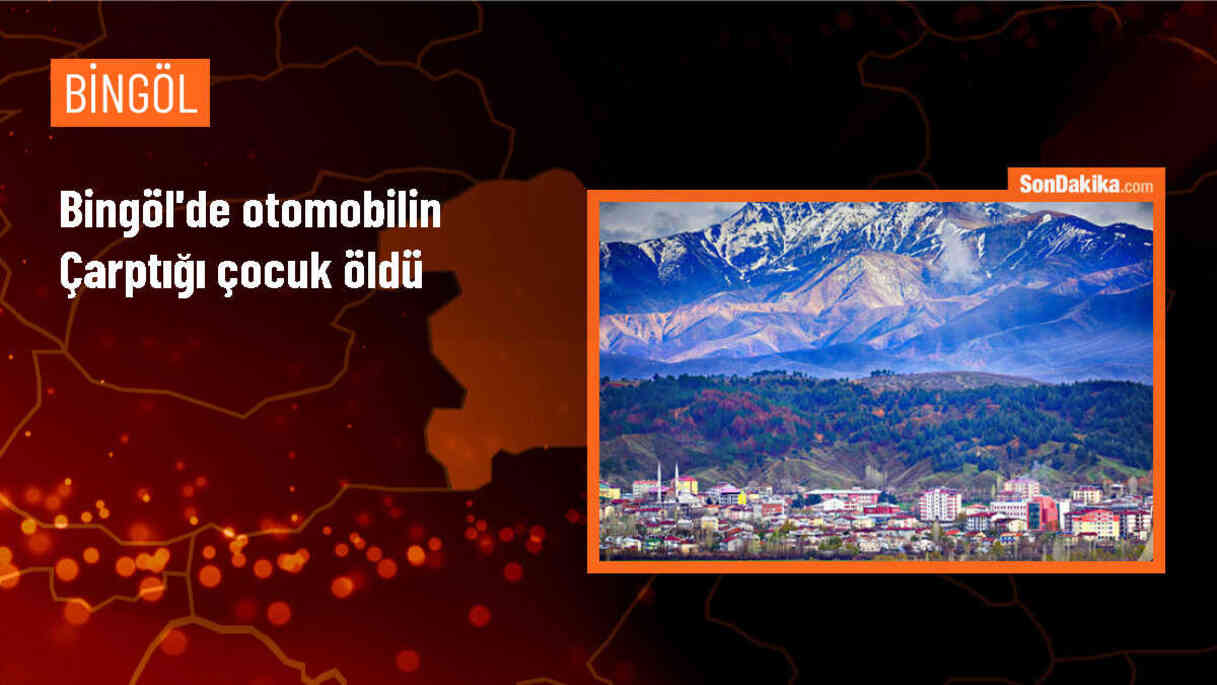 Bingöl\'de otomobilin çarptığı çocuk hayatını kaybetti