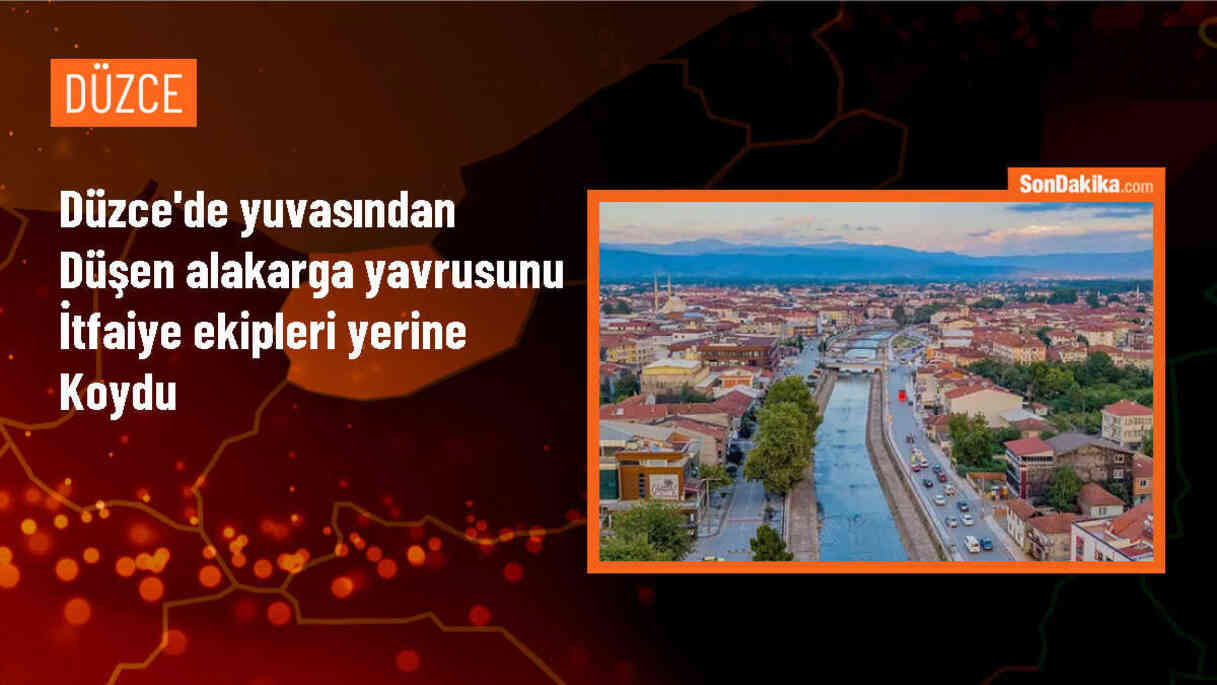 Düzce\'de İtfaiye Ekipleri Alakarga Yavrusuna Yardım Etti