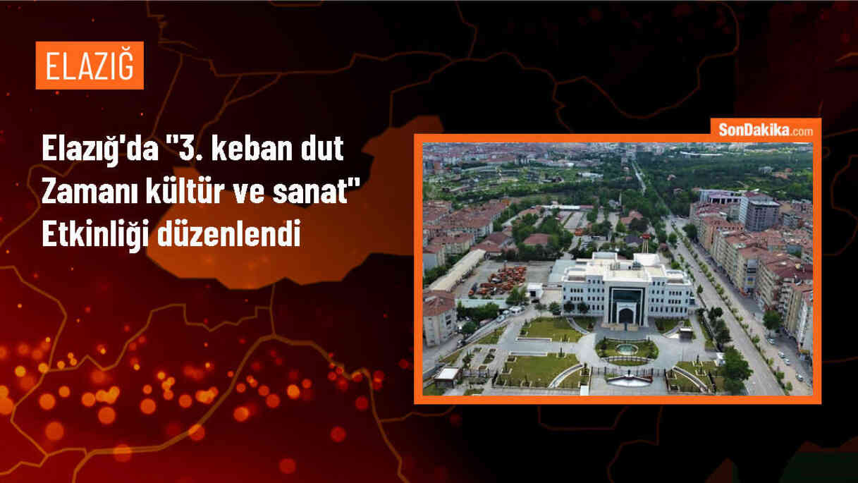 Elazığ\'ın Keban ilçesinde \'3. Keban Dut Zamanı Kültür ve Sanat\' etkinliği düzenlendi