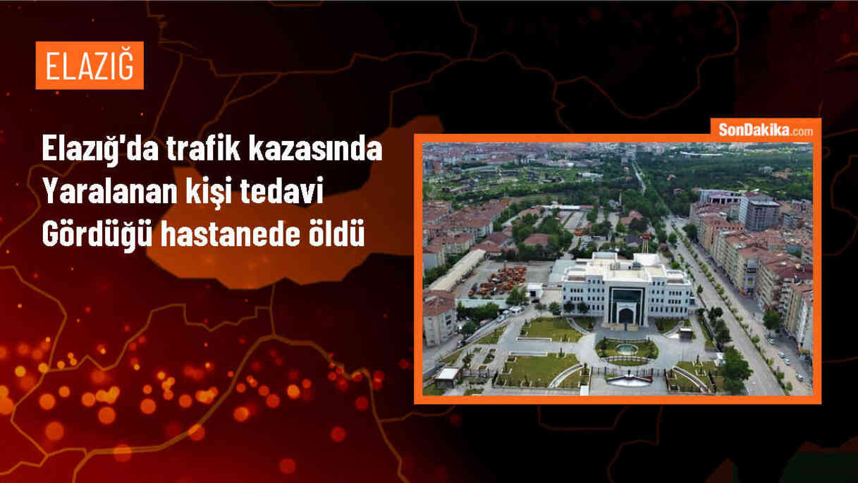Elazığ\'ın Palu ilçesinde otomobil şarampole devrildi, 1 kişi hayatını kaybetti