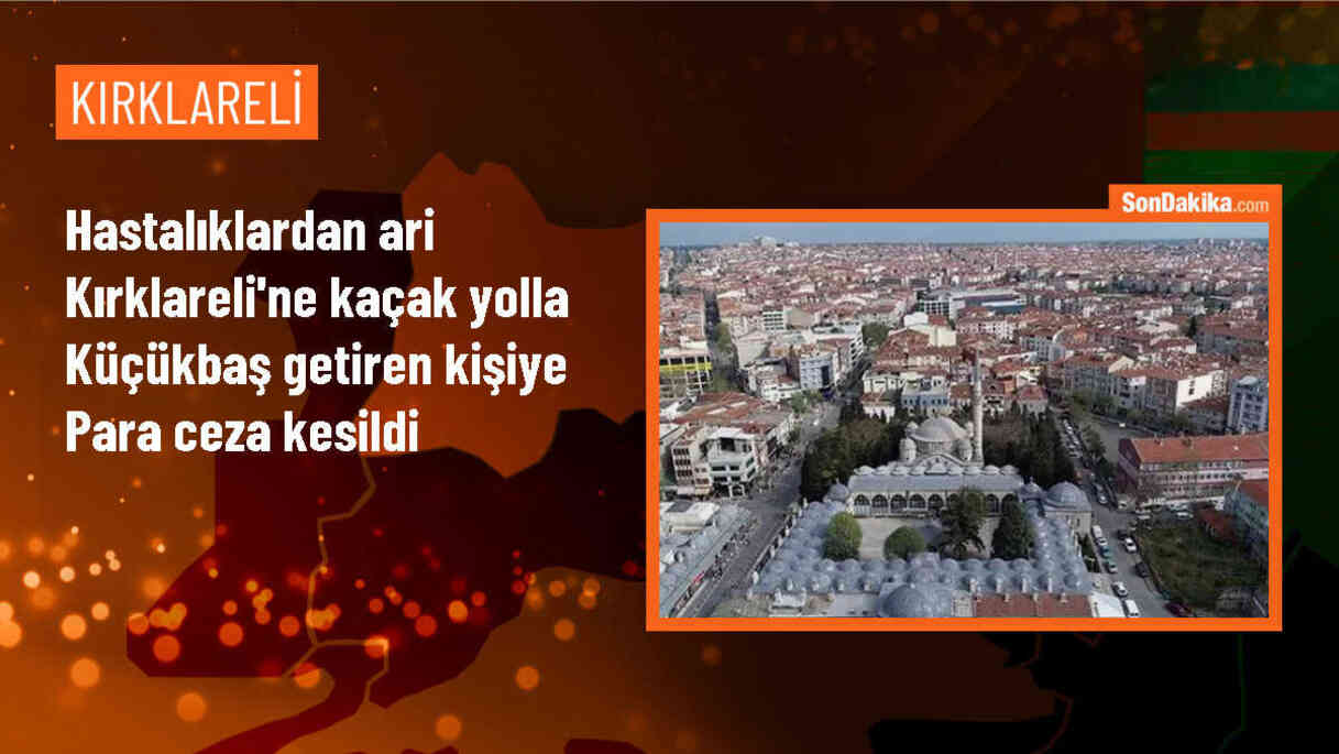 Kaçak yollarla getirilen 4 küçükbaş hayvana 73 bin 143 lira ceza