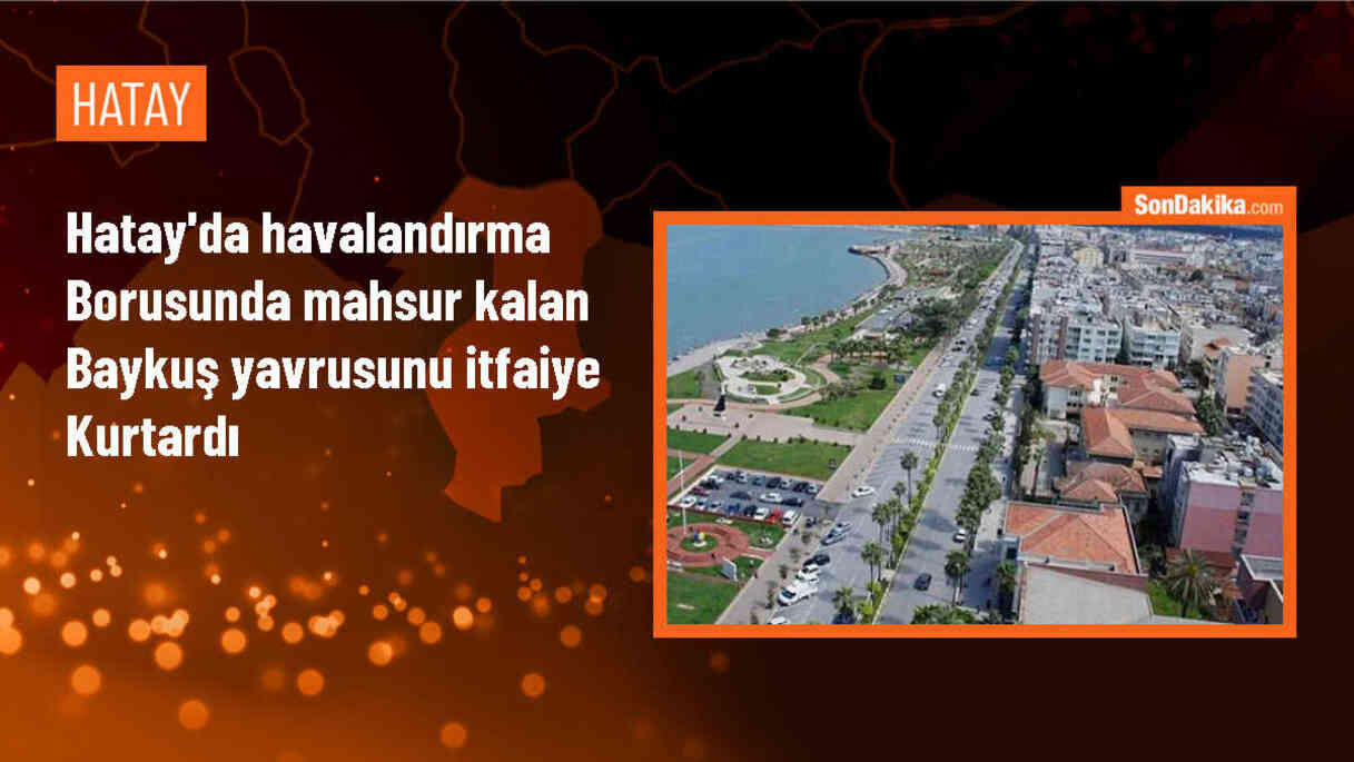 Belen\'de mahsur kalan baykuş yavrusu itfaiye tarafından kurtarıldı