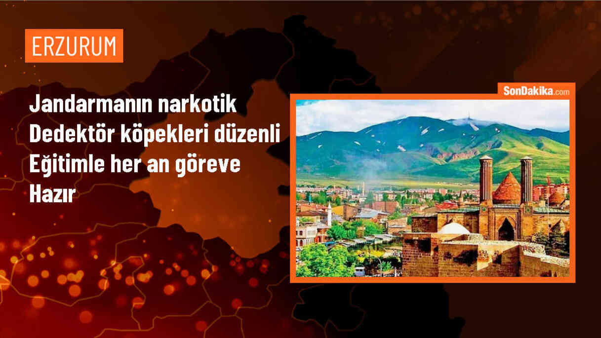 Erzurum\'da Narkotik Dedektör Köpeklerine Kondisyon Eğitimi
