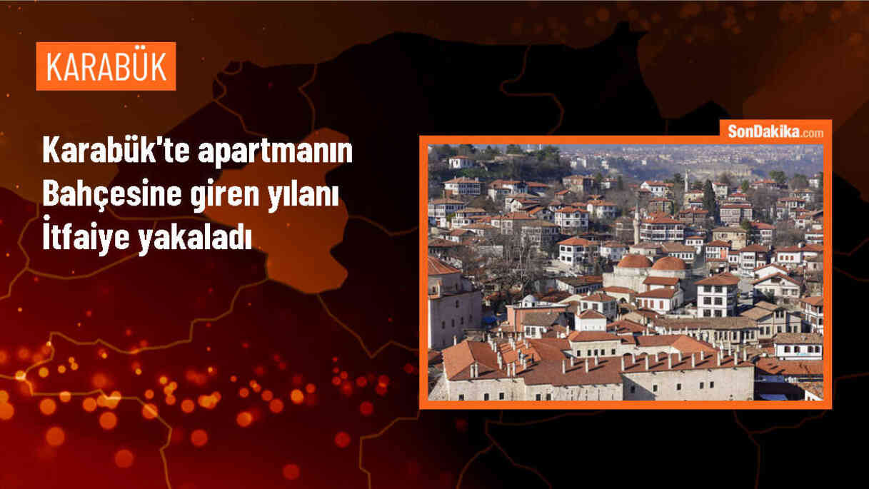 Karabük\'te Apartman Bahçesine Giren Yılan Yakalandı