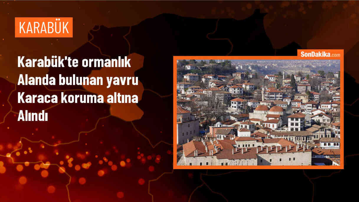 Karabük\'te Ormanlık Alanda Bulunan Yavru Karaca Koruma Altına Alındı