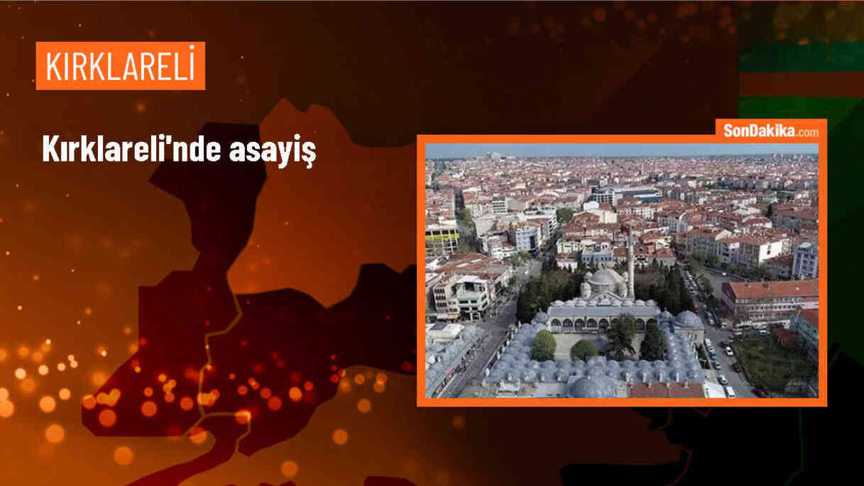 Lüleburgaz\'da kamyonet devrildi, sürücü yaralandı