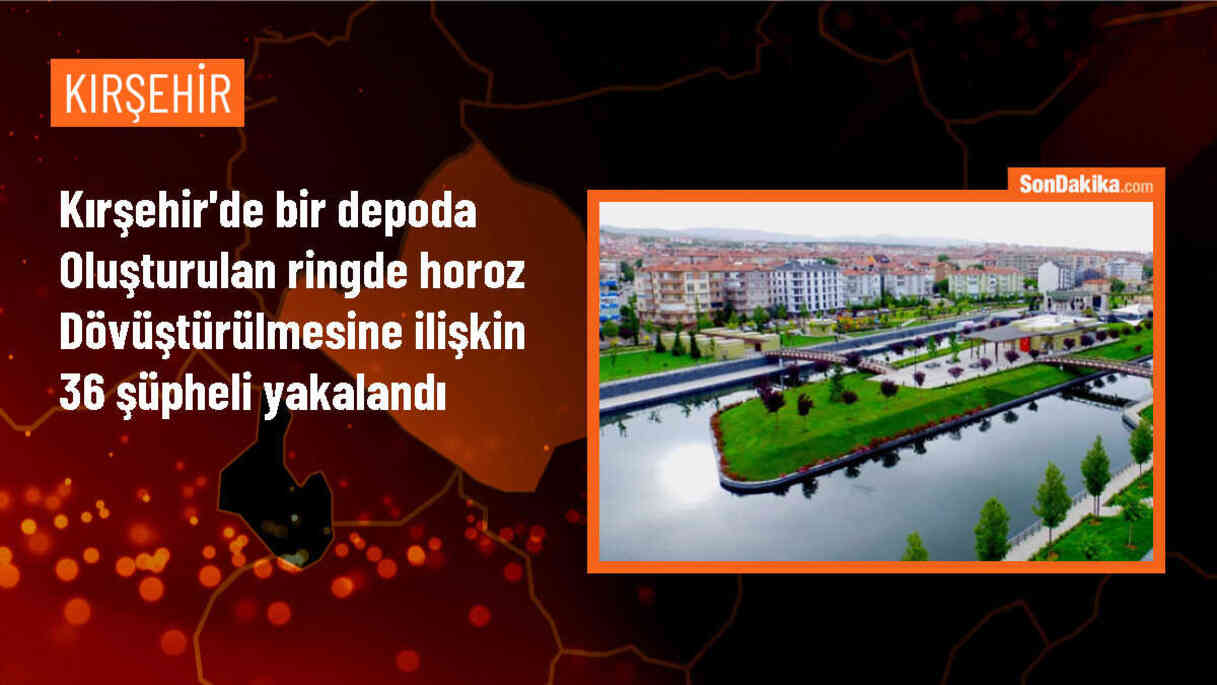 Kırşehir\'de Horoz Dövüştürme Operasyonu: 36 Şüpheli Yakalandı
