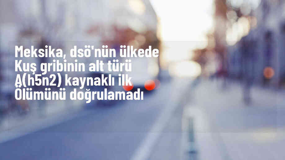 Meksika, DSÖ\'nün ilk ölümcül kuş gribi vakasını kabul etmiyor