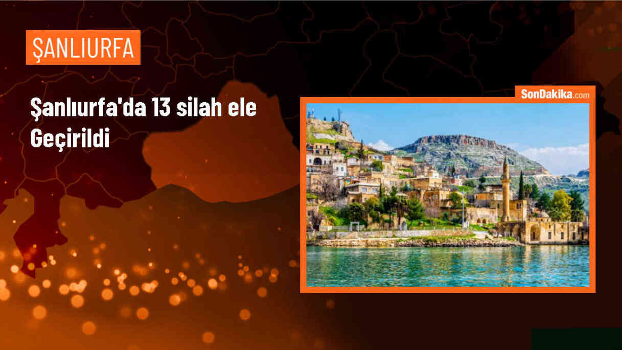 Şanlıurfa\'da silah operasyonu: 1 uzun namlulu tüfek ve çok sayıda silah ele geçirildi