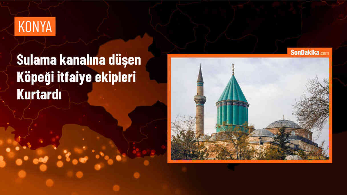 Sulama kanalına düşen köpek itfaiye ekipleri tarafından kurtarıldı