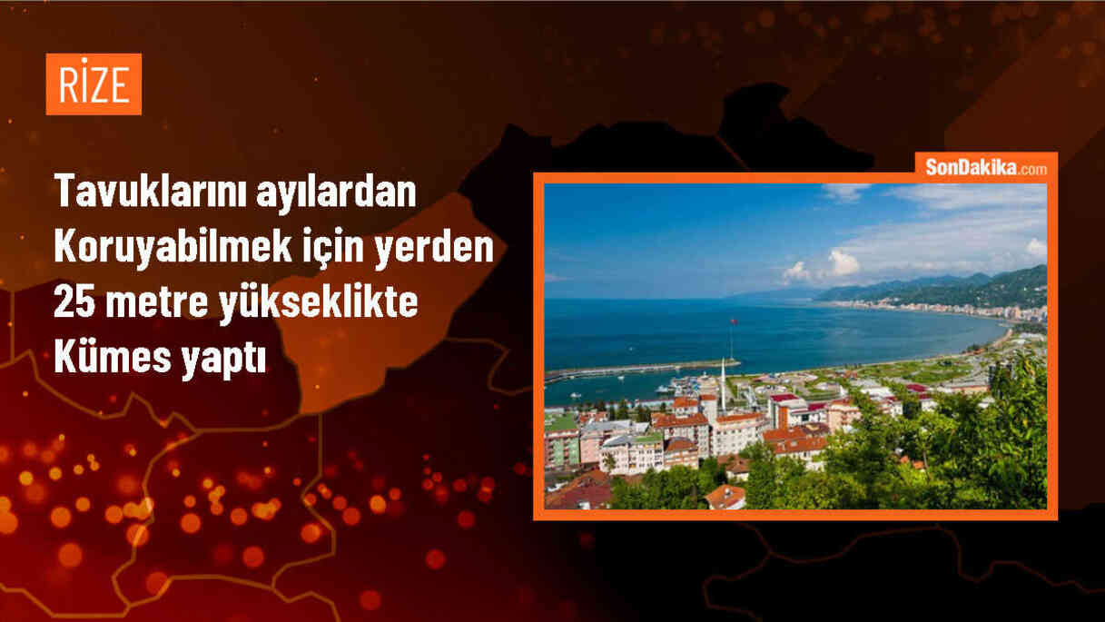 Rize\'de Tavukları Ayılardan Korumak İçin İlkel Teleferik Sistemi