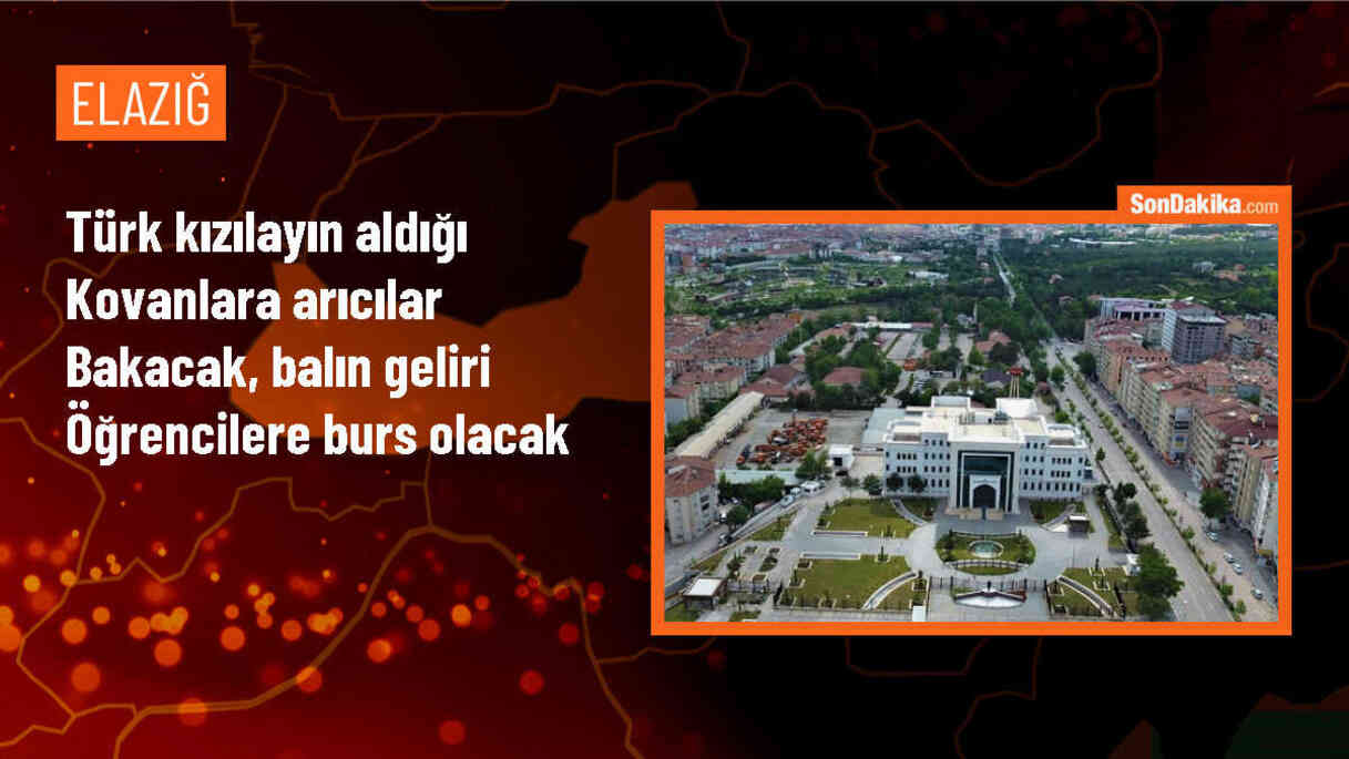Elazığ\'da Türk Kızılayı Arı Kovanlarından Elde Edilen Balı İhtiyaç Sahibi Öğrencilere Burs Olarak Kullanacak