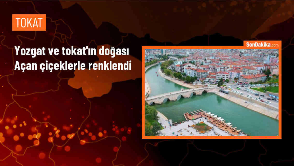 Yozgat ve Tokat\'ta Bahar Çiçekleriyle Renklendi