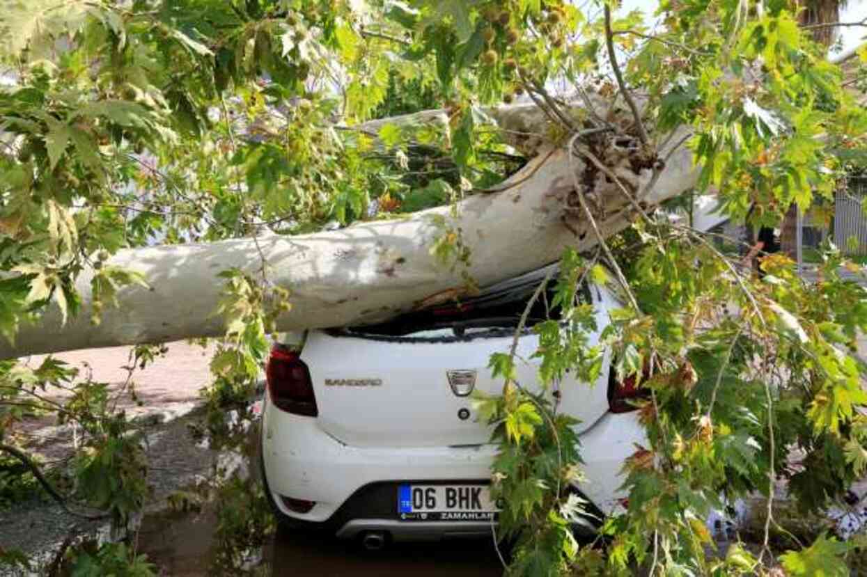 Ağaçlar devrildi, havalimanında uçuşlar durdu! Sağanak ve fırtınanın vurduğu Antalya'ya 15 dakika yetti